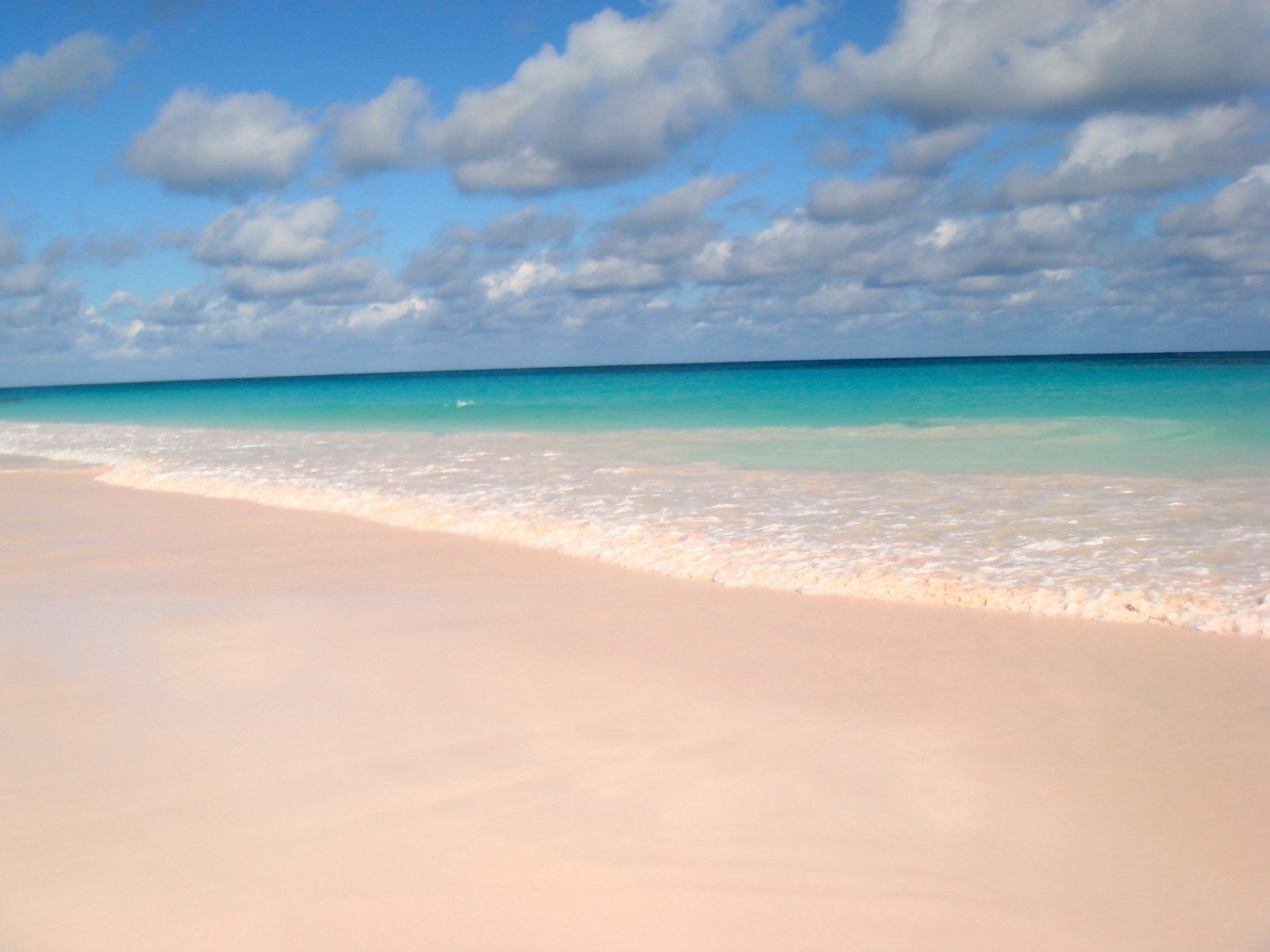 Pink Sands Beach